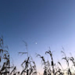 Meet your Posher, Lily